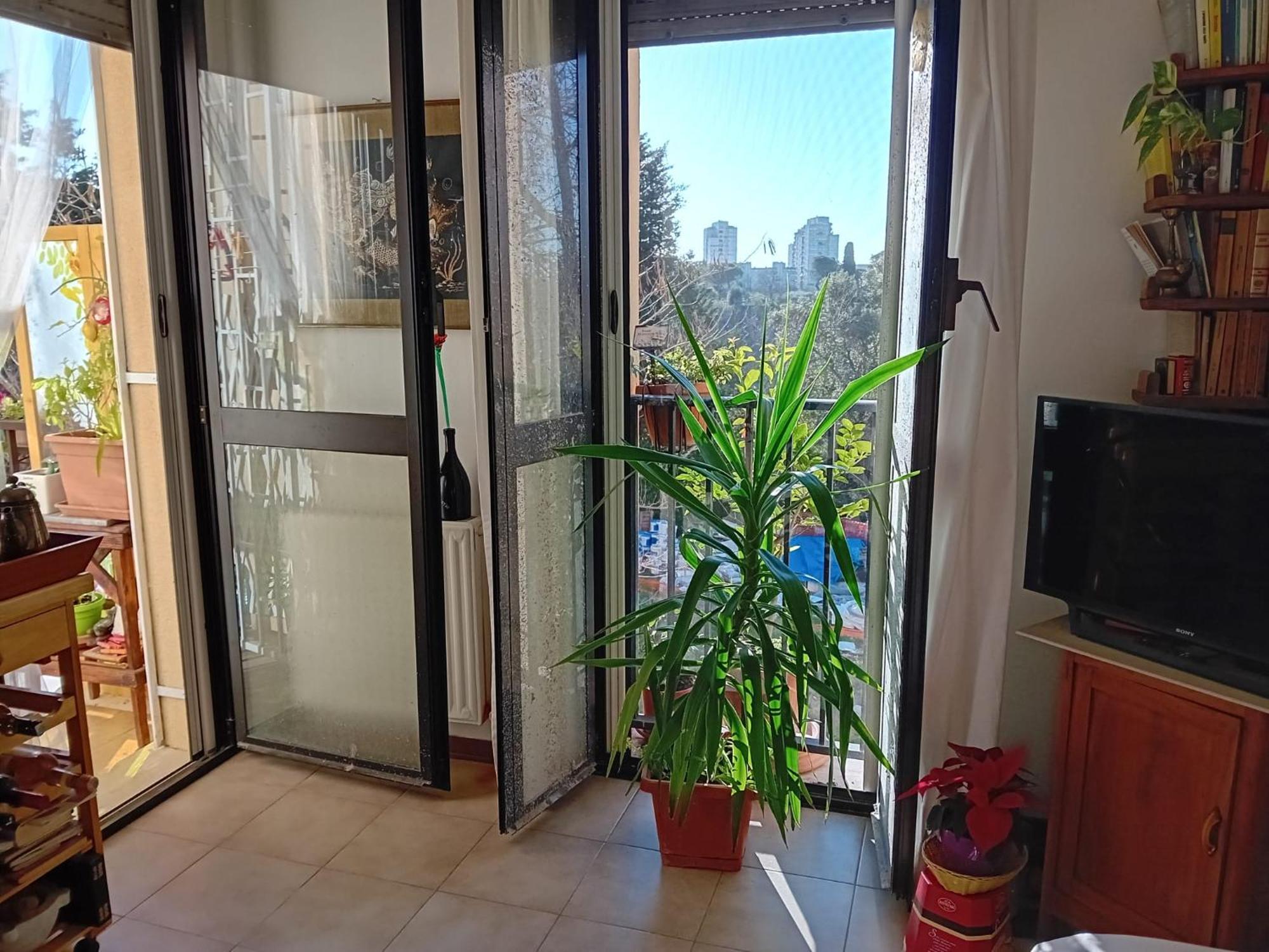 Grazioso Immerso Nel Appartamento