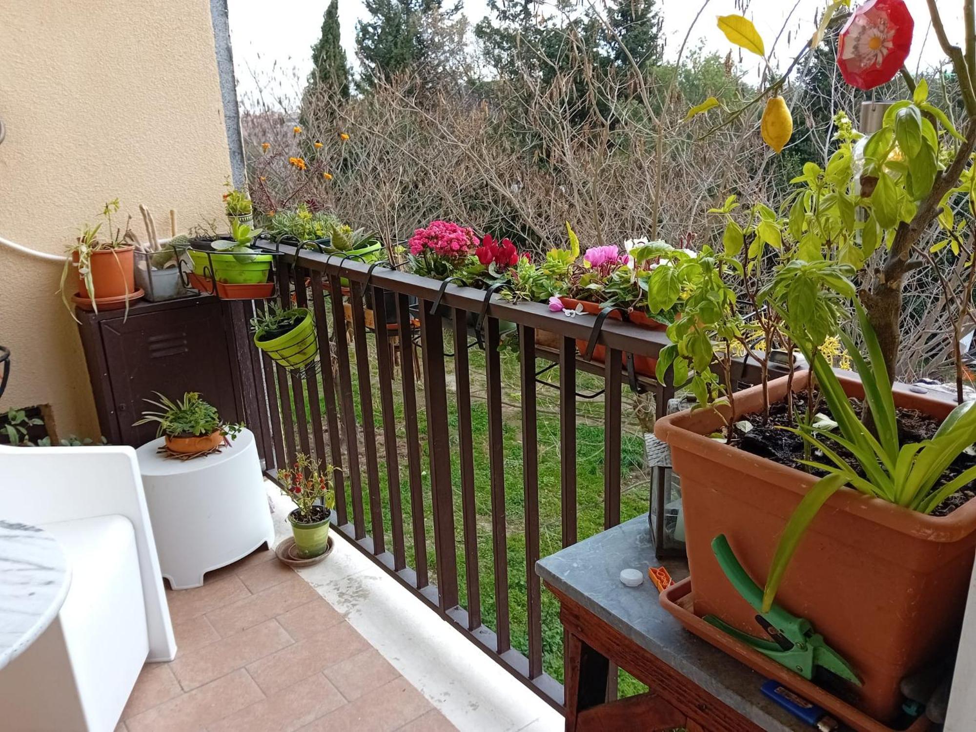 Grazioso Immerso Nel Appartamento